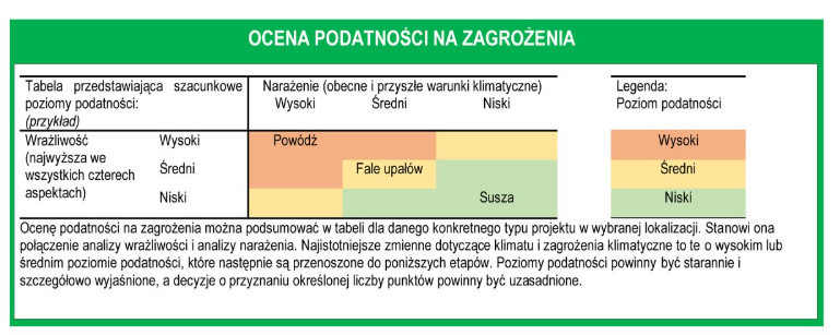 Wzór matrycy do analizy podatności