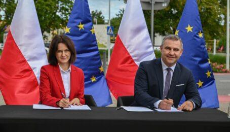 galeria 1 - zdjęcie 5