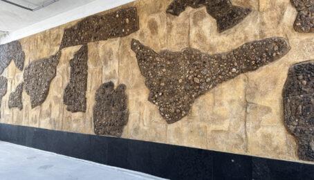 galeria 3 - zdjęcie 5