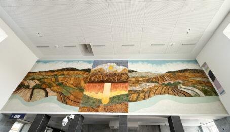 galeria 3 - zdjęcie 8