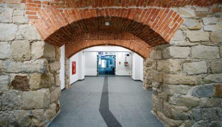 galeria 3 - zdjęcie 9