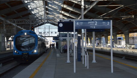 galeria 1 - zdjęcie 3