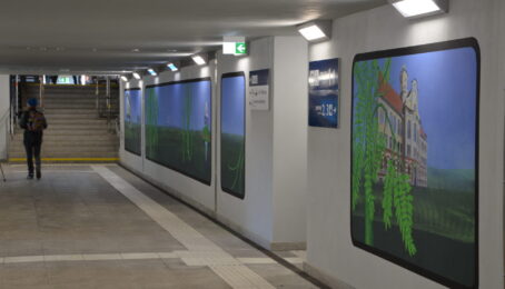 galeria 1 - zdjęcie 4