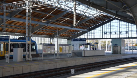 galeria 1 - zdjęcie 5