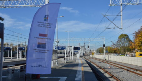 galeria 1 - zdjęcie 6