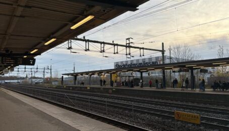 galeria 1 - zdjęcie 8