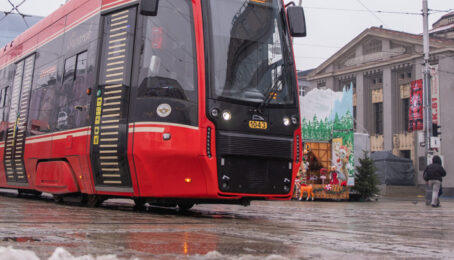 galeria 1 - zdjęcie 16