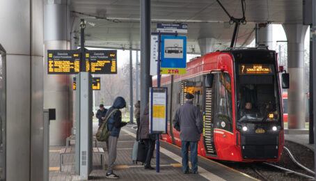 galeria 1 - zdjęcie 15