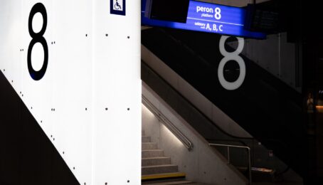 galeria 9 - zdjęcie 1