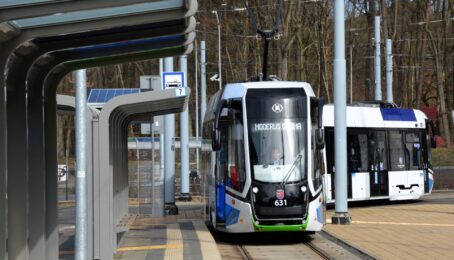 galeria 1 - zdjęcie 6