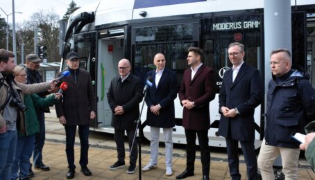 galeria 1 - zdjęcie 4