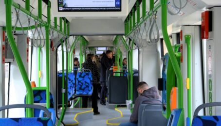 galeria 1 - zdjęcie 3