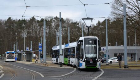 galeria 1 - zdjęcie 2