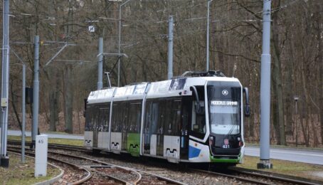 galeria 1 - zdjęcie 1