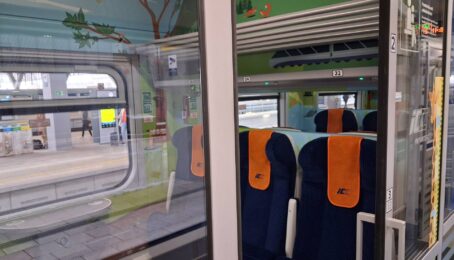 galeria 3 - zdjęcie 4