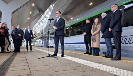 galeria 3 - zdjęcie 2