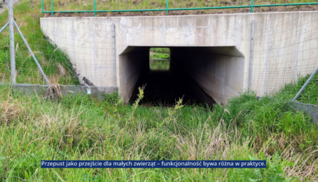 galeria 20 - zdjęcie 1