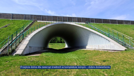 galeria 6 - zdjęcie 6