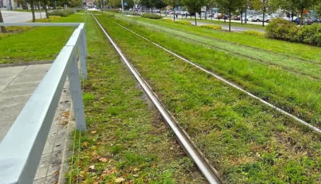 Przemyślane nasadzenia. Jak mądrze planować zieleń wokół infrastruktury transportowej